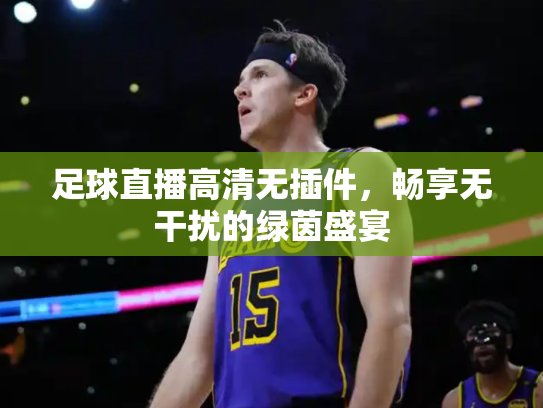 足球直播高清无插件，畅享无干扰的绿茵盛宴