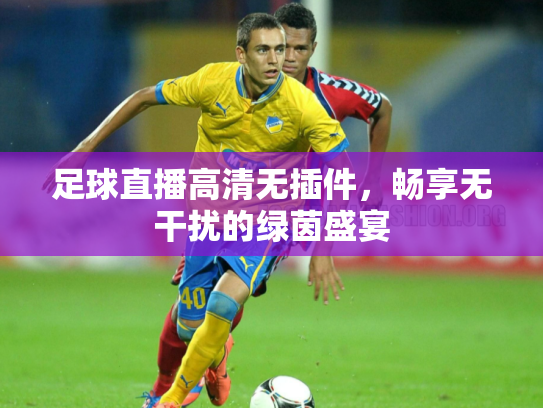 足球直播高清无插件，畅享无干扰的绿茵盛宴