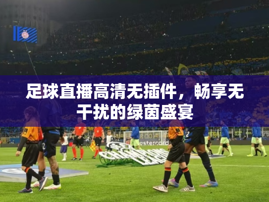 足球直播高清无插件，畅享无干扰的绿茵盛宴