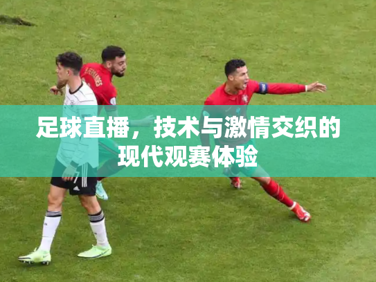 足球直播，技术与激情交织的现代观赛体验