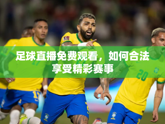 足球直播免费观看，如何合法享受精彩赛事