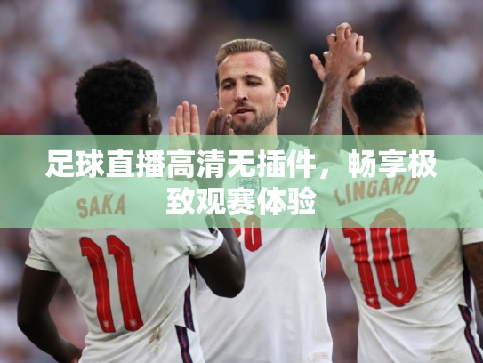 足球直播高清无插件，畅享极致观赛体验