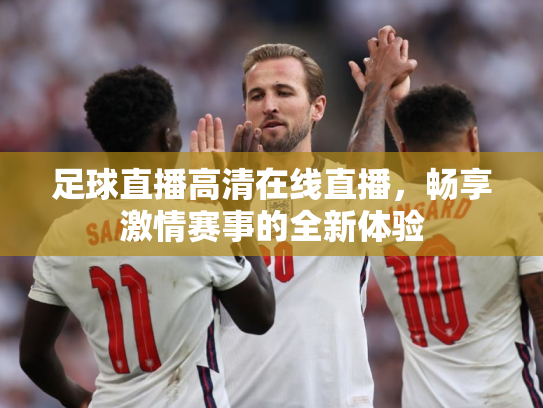 足球直播高清在线直播，畅享激情赛事的全新体验