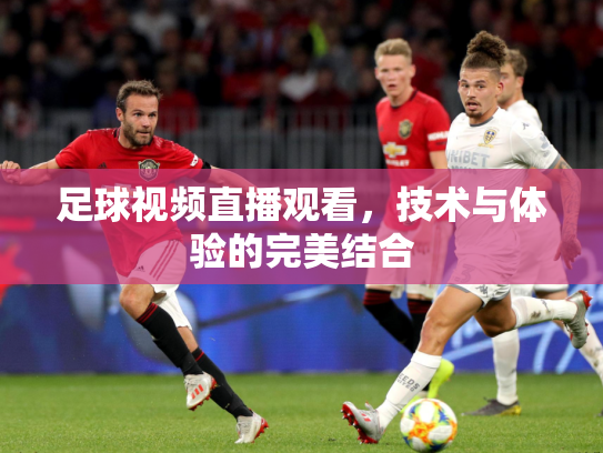 足球视频直播观看，技术与体验的完美结合