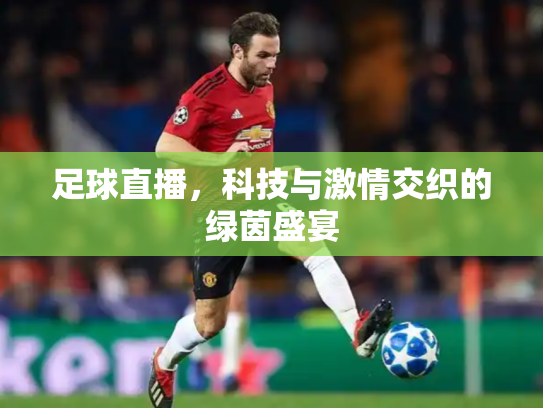 足球直播，科技与激情交织的绿茵盛宴