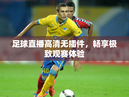 足球直播高清无插件，畅享极致观赛体验