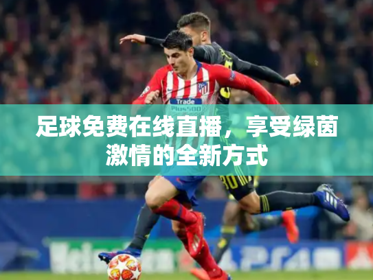 足球免费在线直播，享受绿茵激情的全新方式