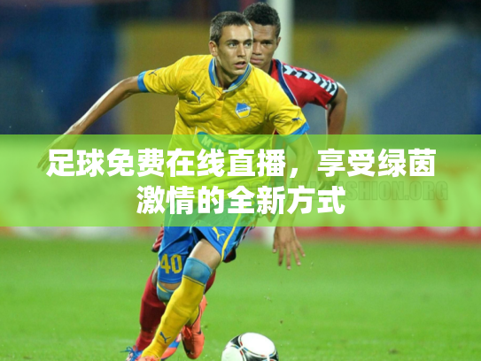 足球免费在线直播，享受绿茵激情的全新方式
