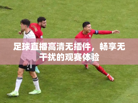 足球直播高清无插件，畅享无干扰的观赛体验