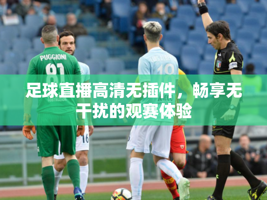 足球直播高清无插件，畅享无干扰的观赛体验