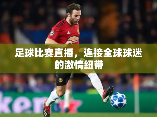 足球比赛直播，连接全球球迷的激情纽带