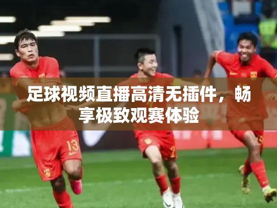 足球视频直播高清无插件，畅享极致观赛体验