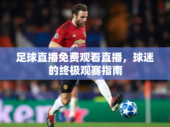 足球直播免费观看直播，球迷的终极观赛指南