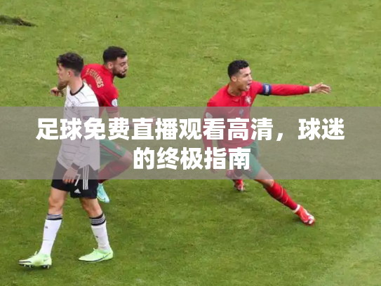 足球免费直播观看高清，球迷的终极指南
