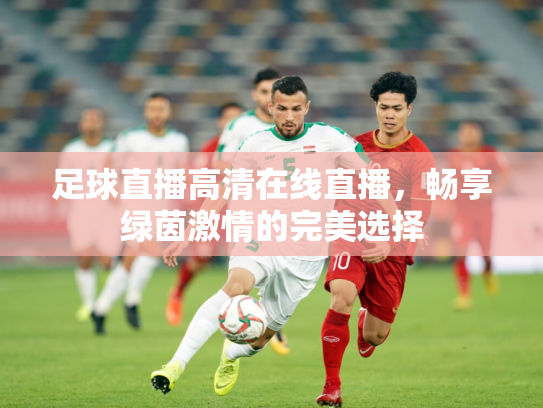 足球直播高清在线直播，畅享绿茵激情的完美选择