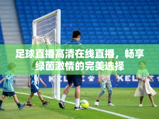 足球直播高清在线直播，畅享绿茵激情的完美选择
