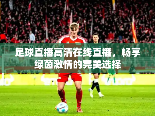 足球直播高清在线直播，畅享绿茵激情的完美选择