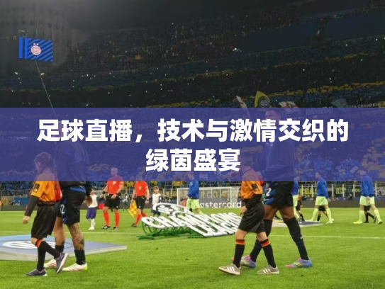 足球直播，技术与激情交织的绿茵盛宴