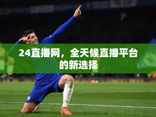 24直播网，全天候直播平台的新选择