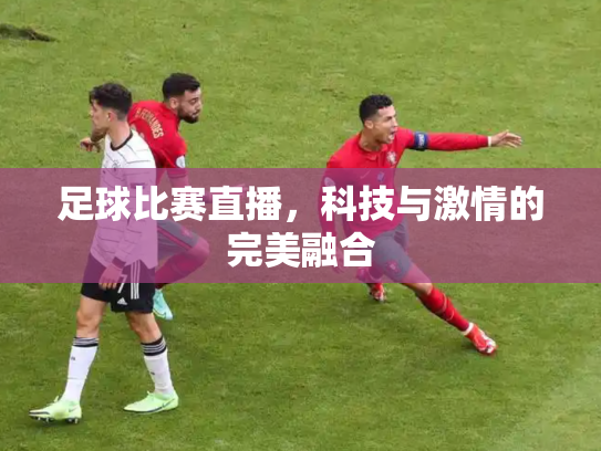 足球比赛直播，科技与激情的完美融合