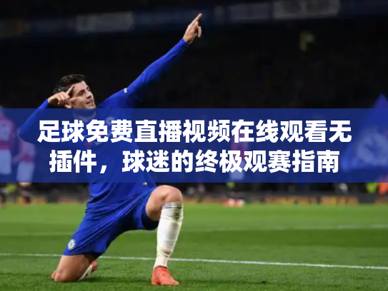 足球免费直播视频在线观看无插件，球迷的终极观赛指南