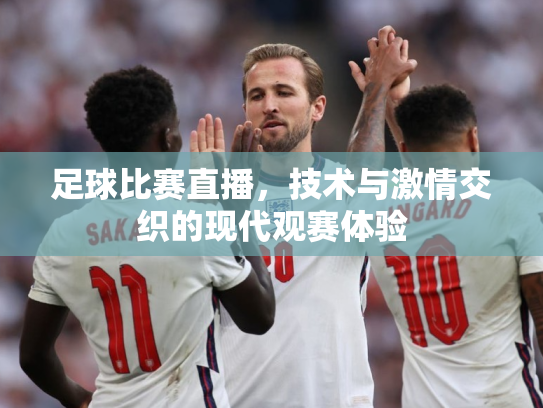 足球比赛直播，技术与激情交织的现代观赛体验