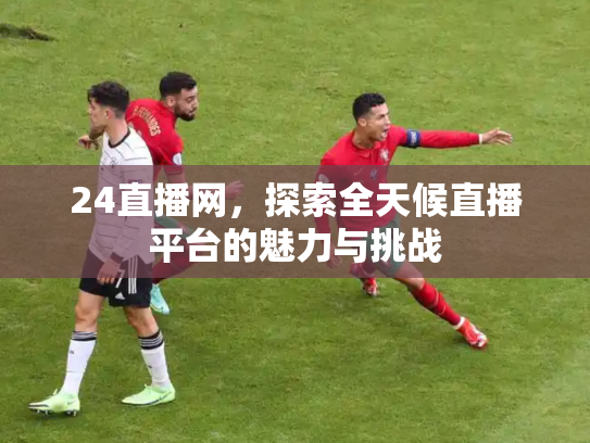 24直播网，探索全天候直播平台的魅力与挑战