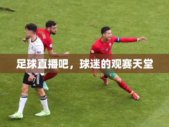足球直播吧，球迷的观赛天堂