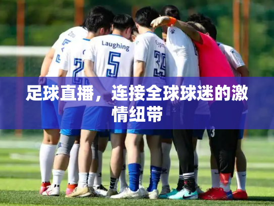 足球直播，连接全球球迷的激情纽带
