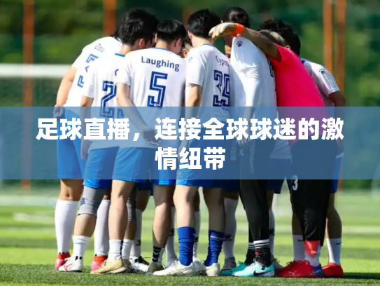 足球直播，连接全球球迷的激情纽带
