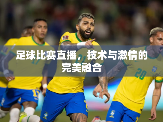 足球比赛直播，技术与激情的完美融合