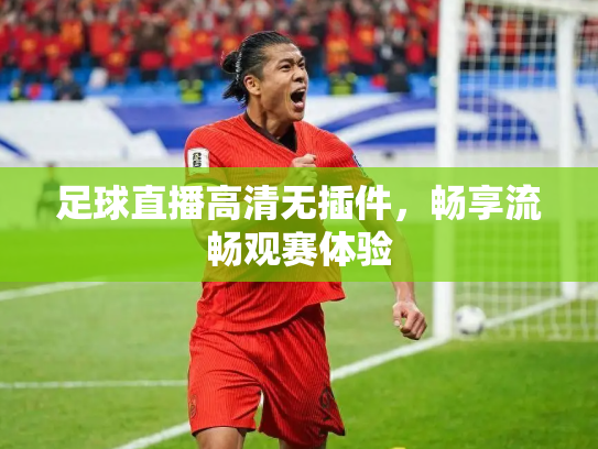 足球直播高清无插件，畅享流畅观赛体验