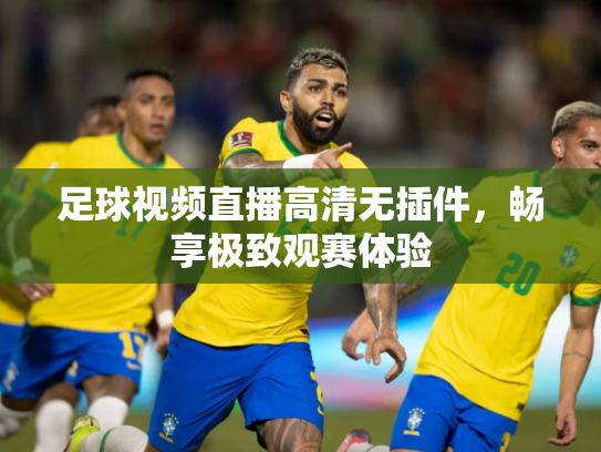 足球视频直播高清无插件，畅享极致观赛体验