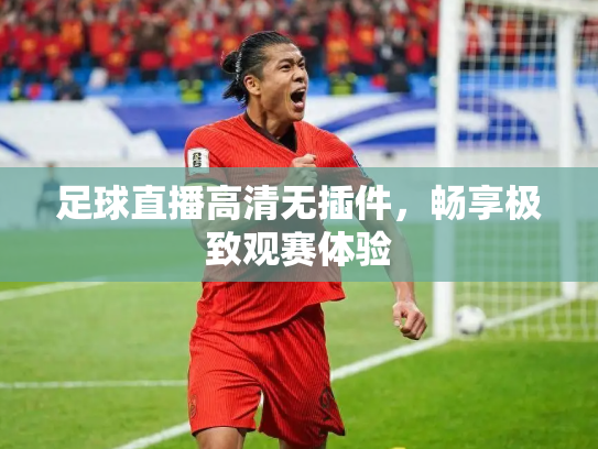 足球直播高清无插件，畅享极致观赛体验