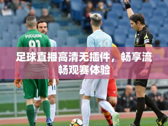 足球直播高清无插件，畅享流畅观赛体验
