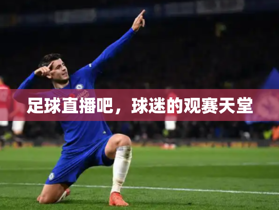 足球直播吧，球迷的观赛天堂
