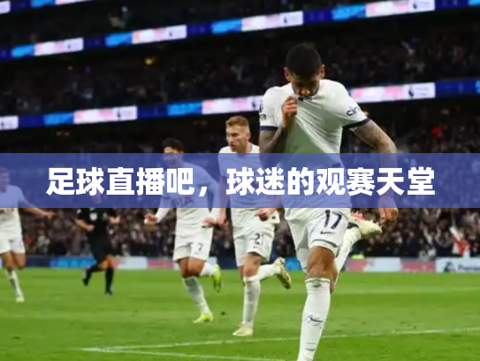 足球直播吧，球迷的观赛天堂