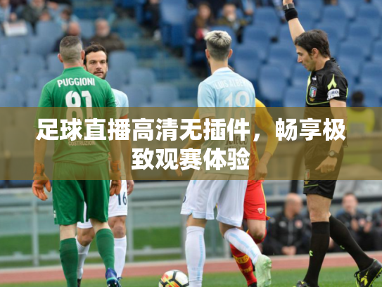 足球直播高清无插件，畅享极致观赛体验