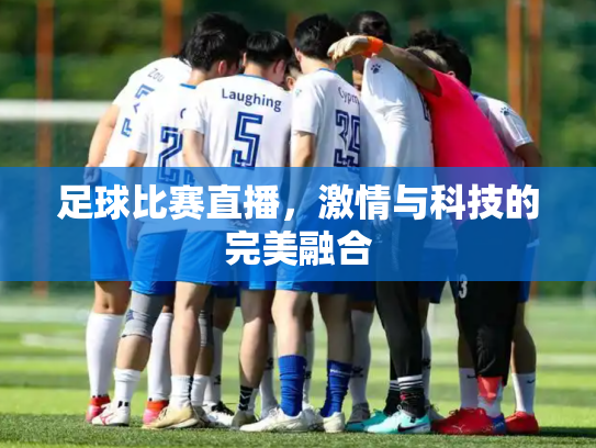 足球比赛直播，激情与科技的完美融合