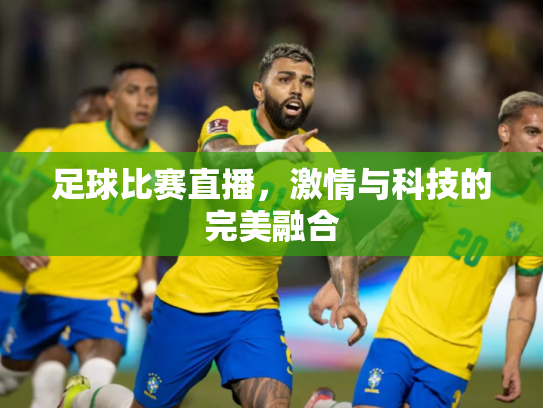 足球比赛直播，激情与科技的完美融合