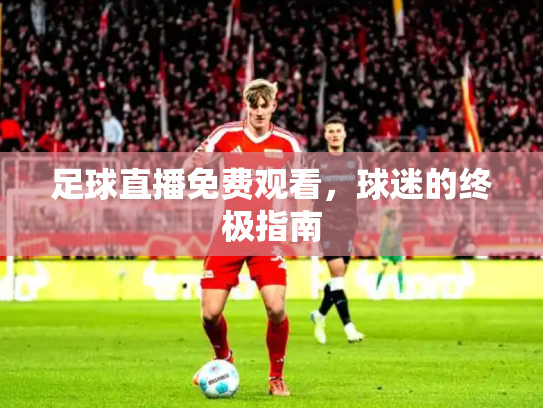 足球直播免费观看，球迷的终极指南
