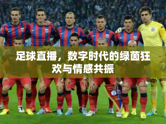 足球直播，数字时代的绿茵狂欢与情感共振