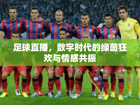 足球直播，数字时代的绿茵狂欢与情感共振