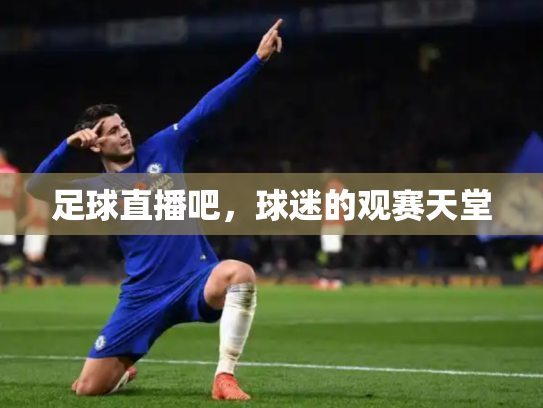足球直播吧，球迷的观赛天堂