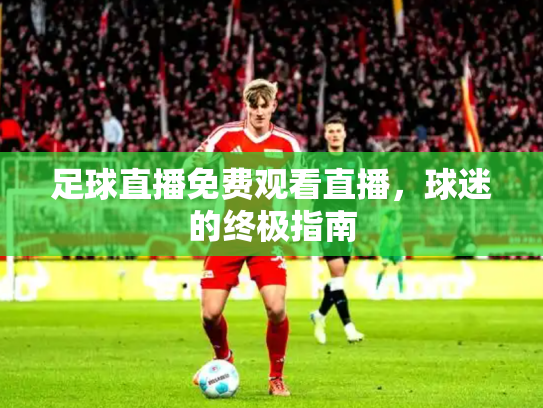 足球直播免费观看直播，球迷的终极指南