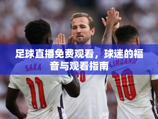 足球直播免费观看，球迷的福音与观看指南