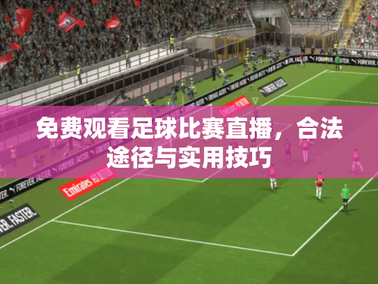 免费观看足球比赛直播，合法途径与实用技巧