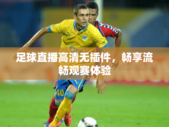 足球直播高清无插件，畅享流畅观赛体验