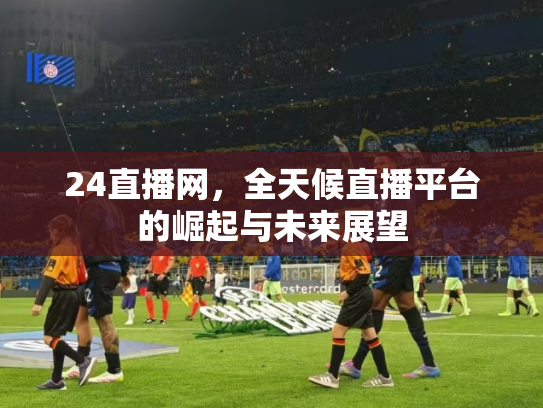 24直播网，全天候直播平台的崛起与未来展望