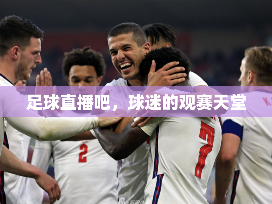 足球直播吧，球迷的观赛天堂